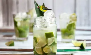 Caipirinha recept med lime och is, dekorerad med en liten papegoja.
