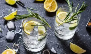Två glas med gin och tonic, is, citron- och limeklyftor samt rosmarinkvistar på ett mörkt underlag.
