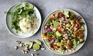 Two plates of food: one with rice, cilantro, and lime; the other with stir-fried chicken, vegetables, and cashews.