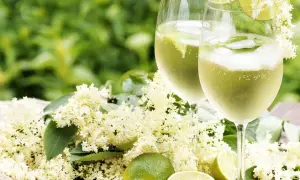 Två glas Hugo med fläderblommor och lime. Ett perfekt recept för en solig sommardag.