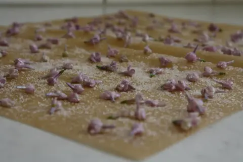 Små lila syrenblommor strös med socker på bakplåtspapper, redo att bli kanderade syrenblommor.
