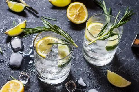Två glas med gin och tonic, is, citron- och limeklyftor samt rosmarinkvistar på ett mörkt underlag.