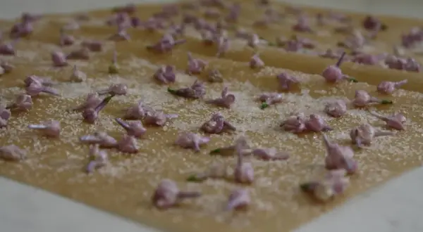 Små lila syrenblommor strös med socker på bakplåtspapper, redo att bli kanderade syrenblommor.