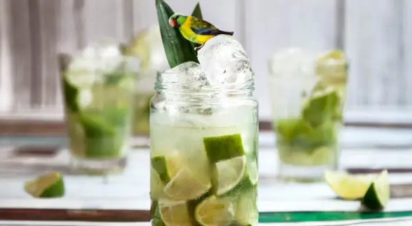 Caipirinha recept med lime och is, dekorerad med en liten papegoja.