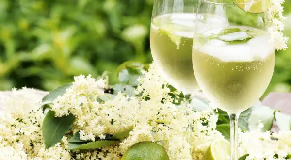 Två glas Hugo med fläderblommor och lime. Ett perfekt recept för en solig sommardag.