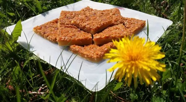 Havretosca i långpanna, gyllene och krispiga bitar, serverade på en vit bricka i gräset. En gul maskros lyser upp bilden.