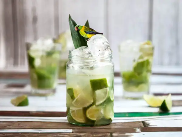 Caipirinha recept med lime och is, dekorerad med en liten papegoja.